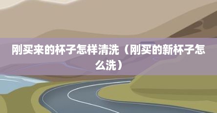 刚买来的杯子怎样清洗（刚买的新杯子怎么洗）