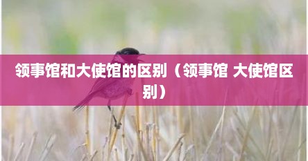 领事馆和大使馆的区别（领事馆 大使馆区别）