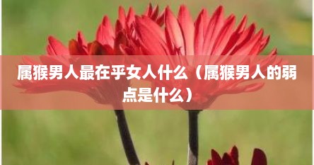 属猴男人最在乎女人什么（属猴男人的弱点是什么）