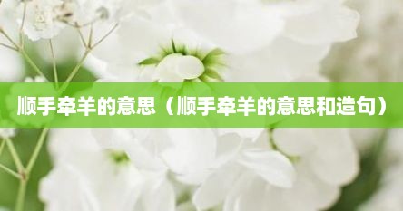 顺手牵羊的意思（顺手牵羊的意思和造句）