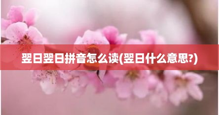 翌日翌日拼音怎么读(翌日什么意思?)