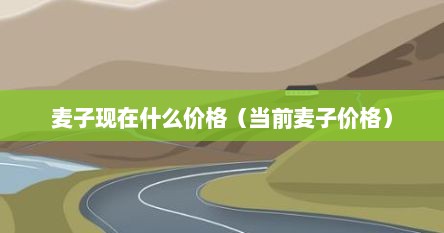 麦子现在什么价格（当前麦子价格）