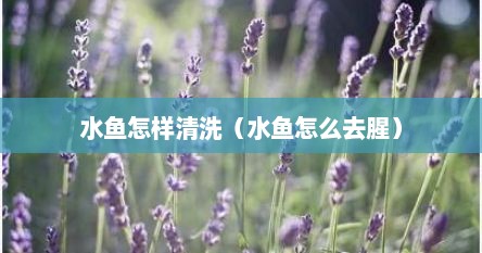 水鱼怎样清洗（水鱼怎么去腥）