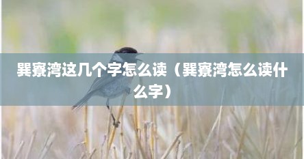 巽寮湾这几个字怎么读（巽寮湾怎么读什么字）