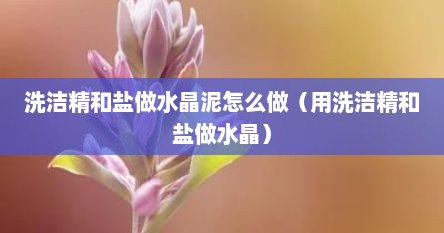 洗洁精和盐做水晶泥怎么做（用洗洁精和盐做水晶）