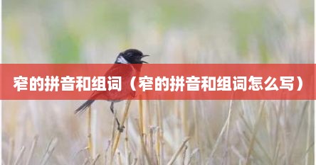 窄的拼音和组词（窄的拼音和组词怎么写）