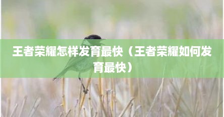 王者荣耀怎样发育最快（王者荣耀如何发育最快）
