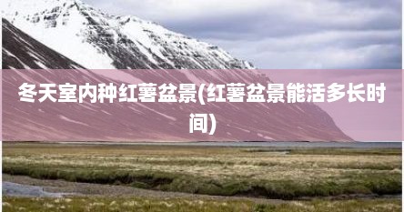 冬天室内种红薯盆景(红薯盆景能活多长时间)