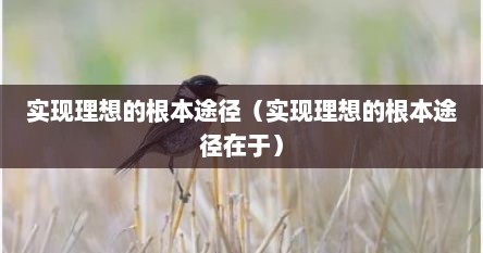 实现理想的根本途径（实现理想的根本途径在于）