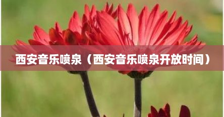 西安音乐喷泉（西安音乐喷泉开放时间）