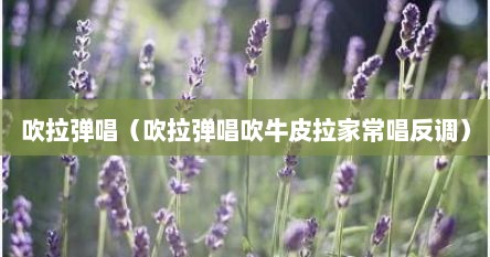 吹拉弹唱（吹拉弹唱吹牛皮拉家常唱反调）