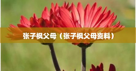 张子枫父母(张子枫父母资料)