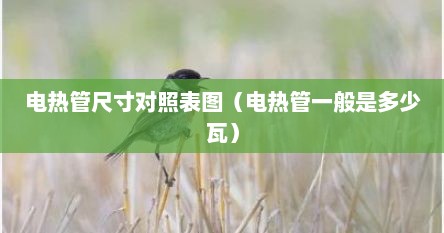 电热管尺寸对照表图（电热管一般是多少瓦）