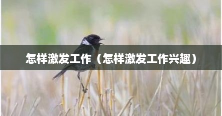怎样激发工作（怎样激发工作兴趣）