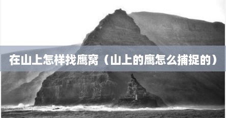 在山上怎样找鹰窝（山上的鹰怎么捕捉的）