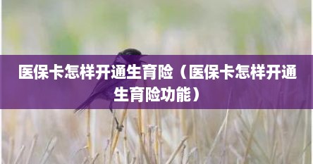 医保卡怎样开通生育险（医保卡怎样开通生育险功能）