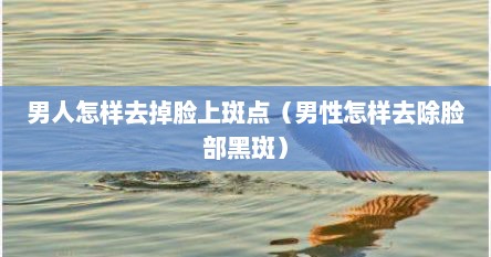 男人怎样去掉脸上斑点(男性怎样去除脸部黑斑) 男人怎样去掉脸上斑点(男性怎样去除脸部黑斑)