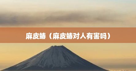 麻皮蝽（麻皮蝽对人有害吗）