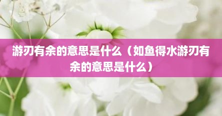 游刃有余的意思是什么（如鱼得水游刃有余的意思是什么）