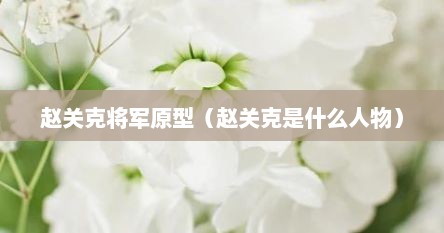 赵关克将军图片（赵关克历史原型）