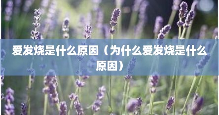 爱发烧是什么原因（为什么爱发烧是什么原因）