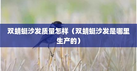 双蜻蜓沙发质量怎样（双蜻蜓沙发是哪里生产的）