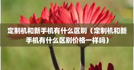 定制机和新手机有什么区别（定制机和新手机有什么区别价格一样吗）