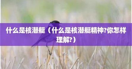 什么是核潜艇（什么是核潜艇精神?你怎样理解?）