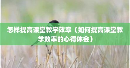 怎样提高课堂教学效率（如何提高课堂教学效率的心得体会）