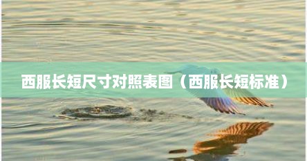 西服长短尺寸对照表图（西服长短标准）