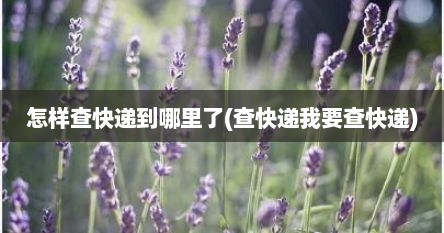 怎样查快递到哪里了(查快递我要查快递)