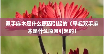 双手麻木是什么原因引起的（早起双手麻木是什么原因引起的）