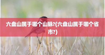 六盘山属于哪个山脉?(六盘山属于哪个省市?)