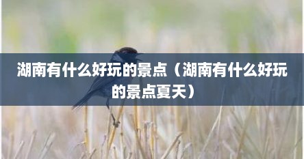 湖南有什么好玩的景点（湖南有什么好玩的景点夏天）