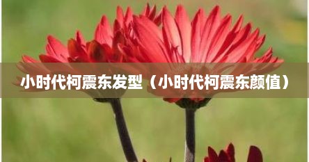 小时代柯震东发型（小时代柯震东颜值）