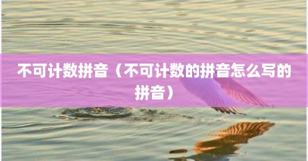不可计数拼音（不可计数的拼音怎么写的拼音）