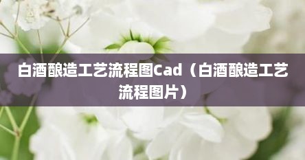 白酒酿造工艺流程图Cad（白酒酿造工艺流程图片）