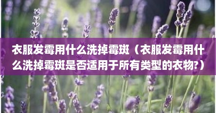 衣服发霉怎么洗掉霉斑最有效（衣服发霉点怎么洗掉霉斑效果最好）