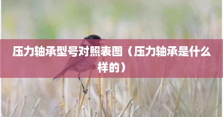 压力轴承型号对照表图（压力轴承是什么样的）