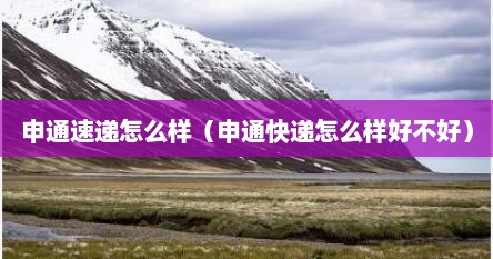 申通速递怎么样（申通快递怎么样好不好）