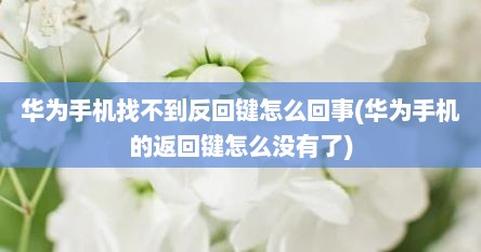 华为手机找不到反回键怎么回事(华为手机的返回键怎么没有了)