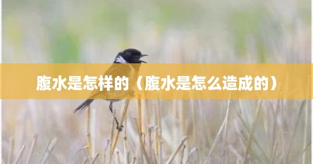 腹水是怎样的（腹水是怎么造成的）