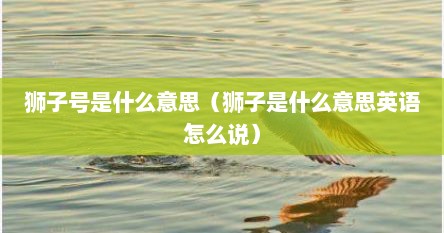 狮子号是什么意思（狮子是什么意思英语怎么说）