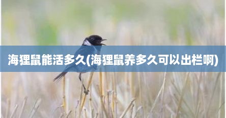 海狸鼠能活多久(海狸鼠养多久可以出栏啊)