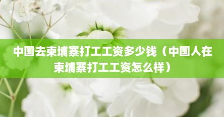中国去柬埔寨打工工资多少钱（中国人在柬埔寨打工工资怎么样）