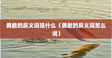 勇敢的反义词是什么哪个词（勇敢 的反义词是什么 标准答案）