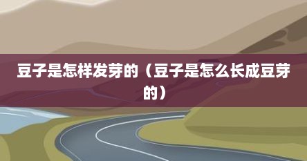 豆子是怎样发芽的（豆子是怎么长成豆芽的）