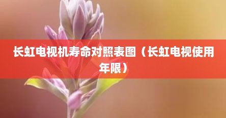 长虹电视机寿命对照表图（长虹电视使用年限）