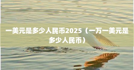 一美元是多少人民币2025（一万一美元是多少人民币）