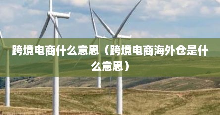 跨境电商什么意思（跨境电商海外仓是什么意思）